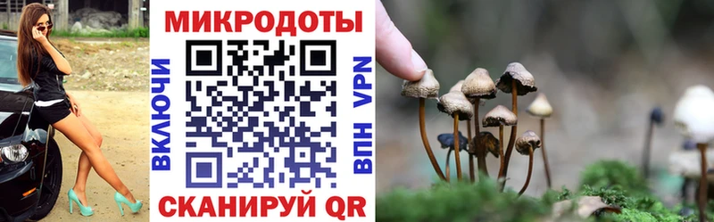 Галлюциногенные грибы ЛСД Клинцы