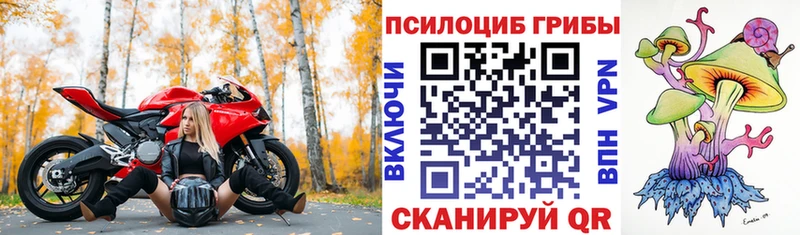 Купить закладки  Клинцы  Псилоцибиновые грибы ЛСД 