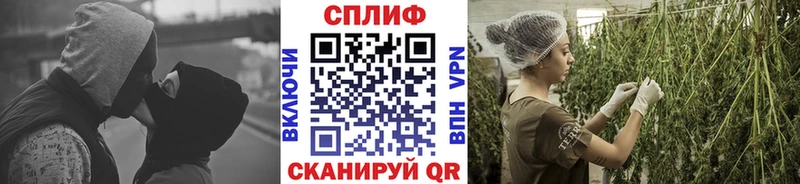 Купить закладки  Клинцы  Каннабис планчик 
